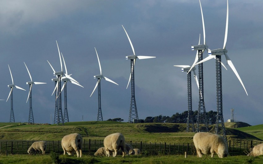 New Zealand To Allocate Billion For Clean Energy Transition