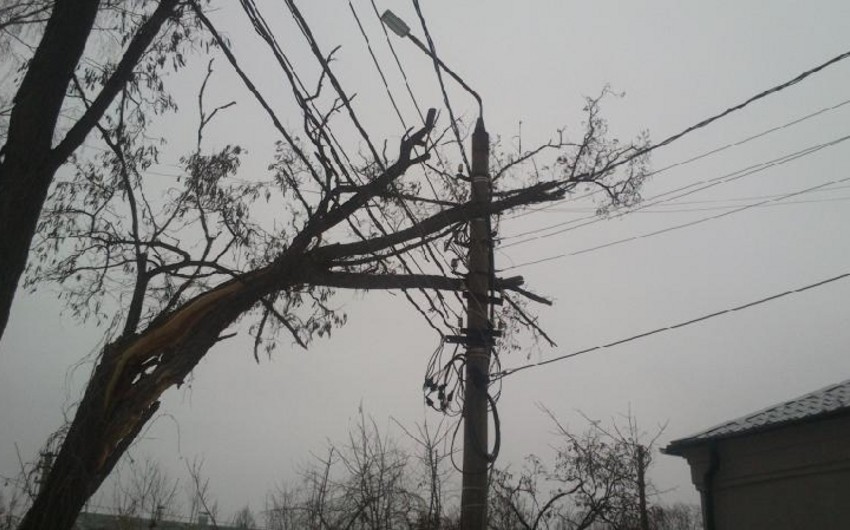 Сильный ветер вызвал ряд осложнений в Гейчае - ВИДЕО