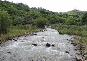 Tovuzda çayda deformasiyaya uğramış meyit tapılıb 