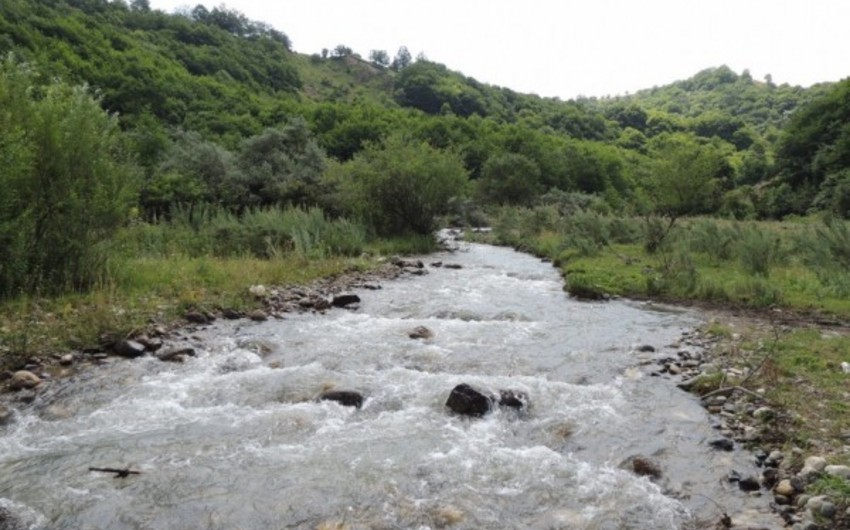 Tovuzda çayda deformasiyaya uğramış meyit tapılıb 