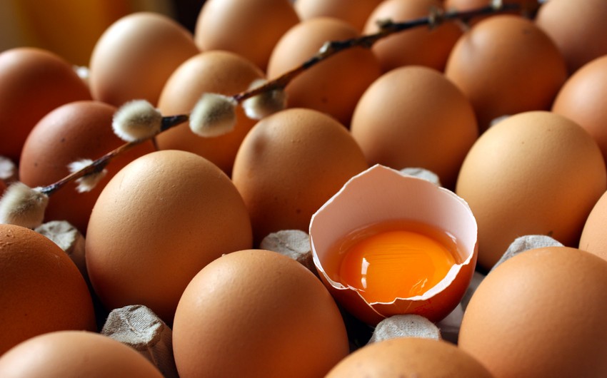 AQC sədri: İl ərzində 60-70 milyon damazlıq yumurta istehsal edilir