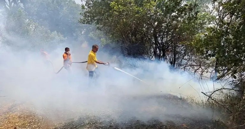 В нескольких провинциях Турции продолжаются лесные пожары