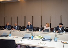 Minister: Azerbaijan, World Energy Council discuss co-op within COP29