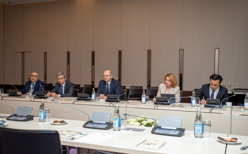 Minister: Azerbaijan, World Energy Council discuss co-op within COP29