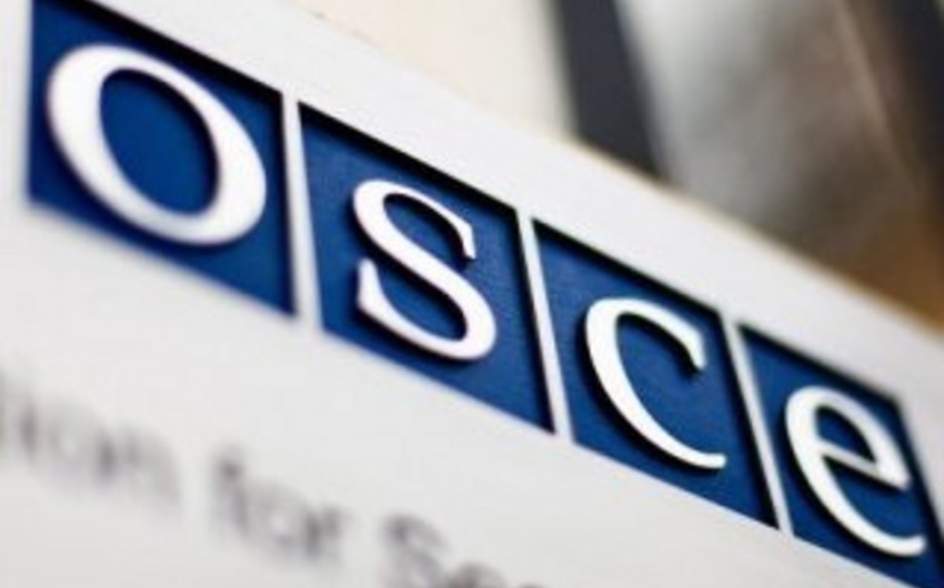 ОБСЕ направит наблюдателей на российские погранпункты