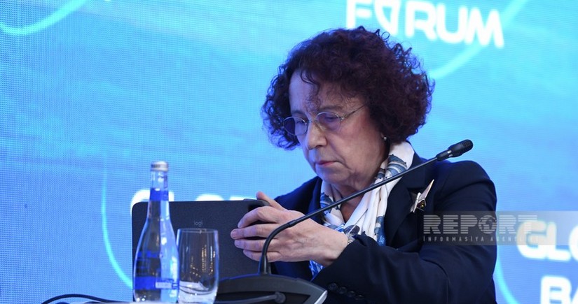 Ана Паласио: Азербайджан сможет добиться соглашения между мировыми державами