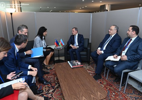 Джейхун Байрамов встретился с министром иностранных дел Лихтенштейна