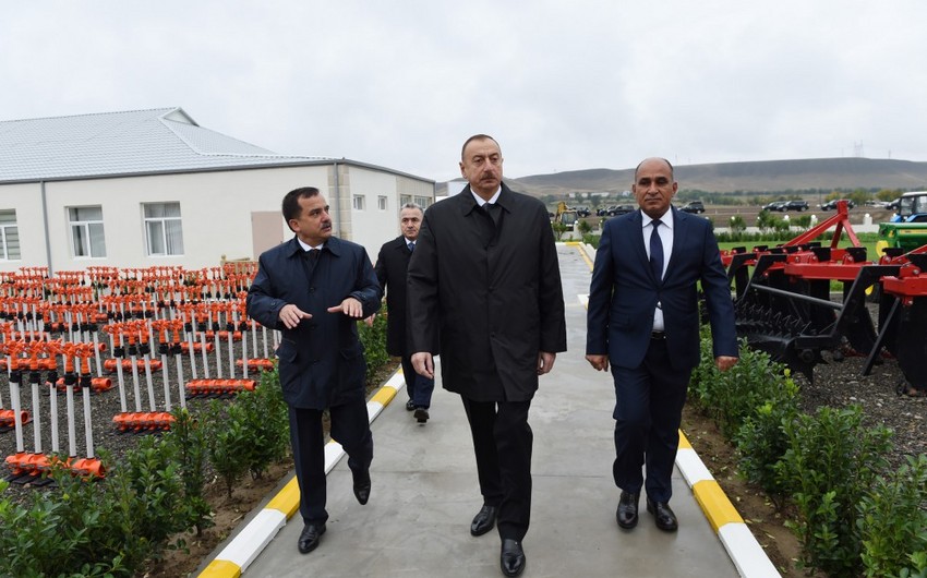 Президент Ильхам Алиев принял участие в презентации сельского фермерского хозяйства Биринджи Шихлы
