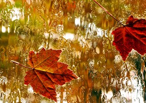 Day of onset of autumn in Azerbaijan declared