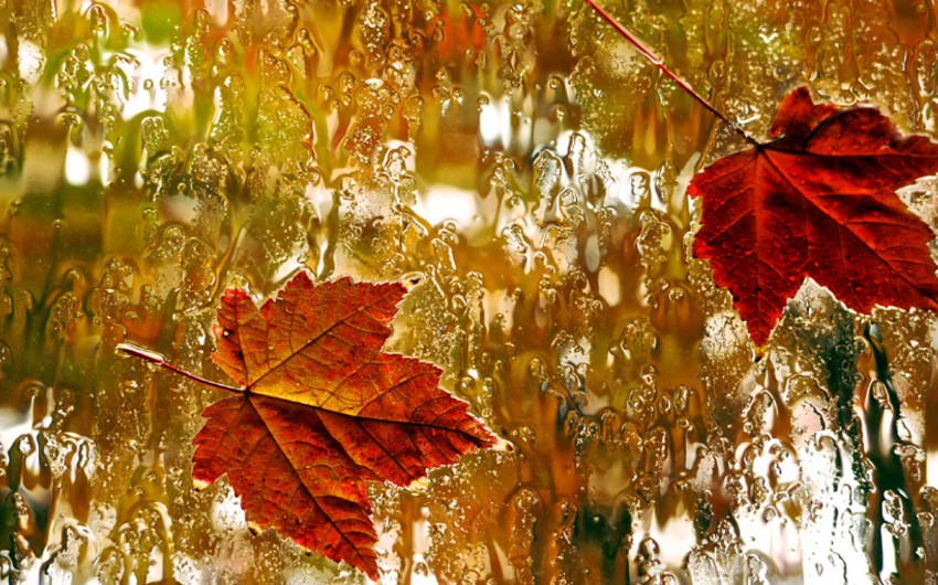 Day of onset of autumn in Azerbaijan declared