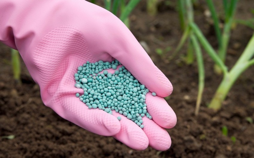 Kazakhstan exports over 6,000 tons of nitrogen fertilizer through Middle Corridor