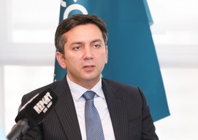 Yalçın Rəfiyev: Mitiqasiya mövzusunun yenidən gündəmə gətirilməsi bəzi dövlətlərin əsas hədəfdən yayınması kimi anlaşıla bilər