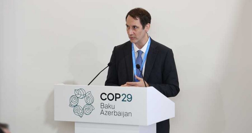 Main directions of decarbonization in maritime sector discussed at COP29