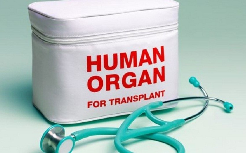 Daxili İşlər nazirinin I müavini: Hazırda Azərbaycanda insan orqanlarının qanunsuz transplantasiyası halı baş vermir