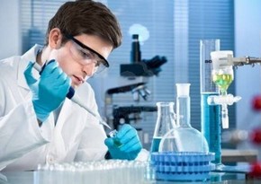 Information on Azerbaijani young scientists acting abroad will be gathered in data bank