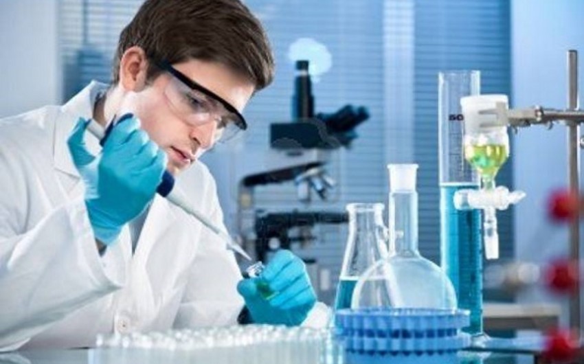 Information on Azerbaijani young scientists acting abroad will be gathered in data bank