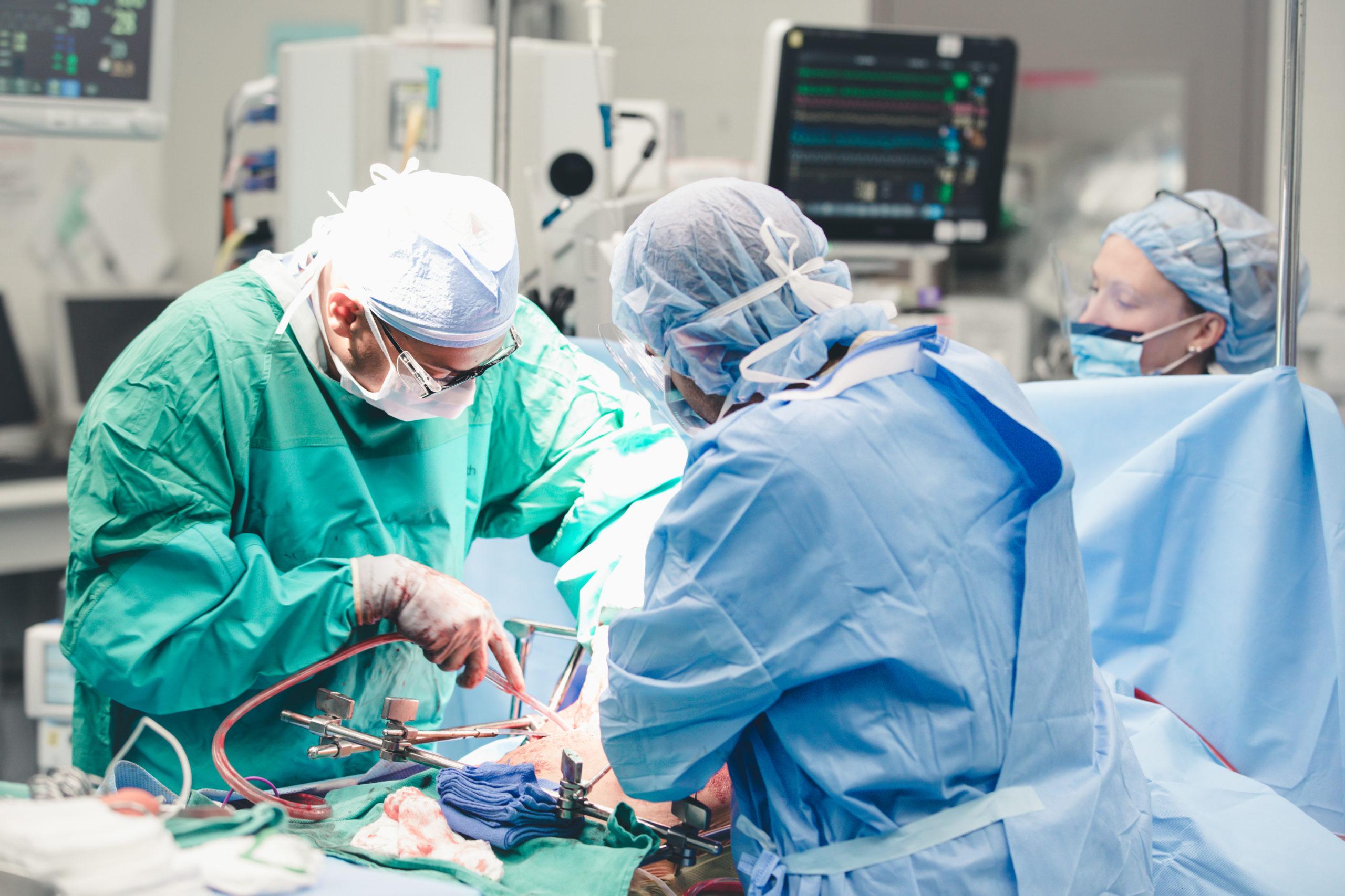 Трансплантауияорганов. Трансплантология органов и ткани. Трансплантация органов человека. Донорство сердца