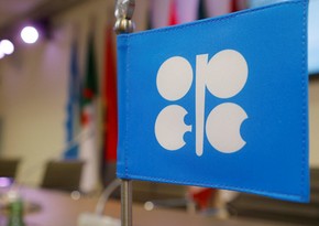 Report experts: Suspension of OPEC+ deal inevitable