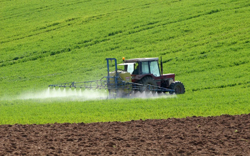 Agriculture Ministry: This year mainly grain sown in liberated territories