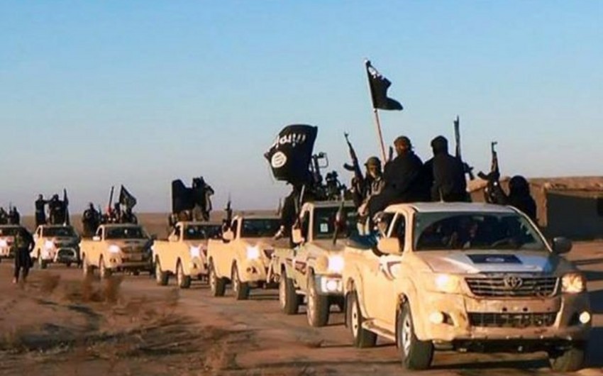 Misirdə İŞİD liderlərindən biri, Suriyada isə terror qruplaşmasının sözçüsü məhv edilib
