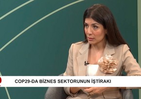 Nigar Arpadarai: COP29 Azərbaycanı daha böyük müzakirələrin iştirakçısına çevirəcək