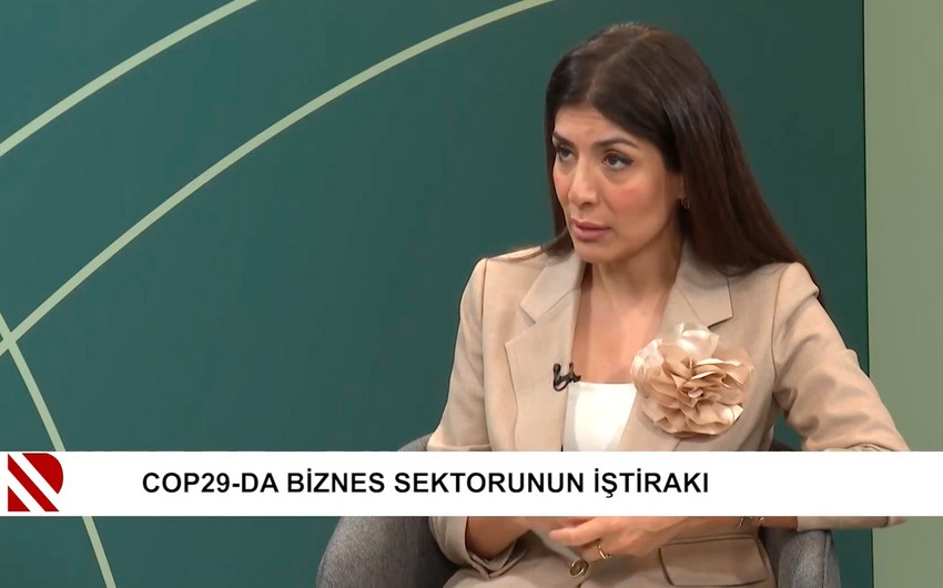 Nigar Arpadarai: COP29 Azərbaycanı daha böyük müzakirələrin iştirakçısına çevirəcək