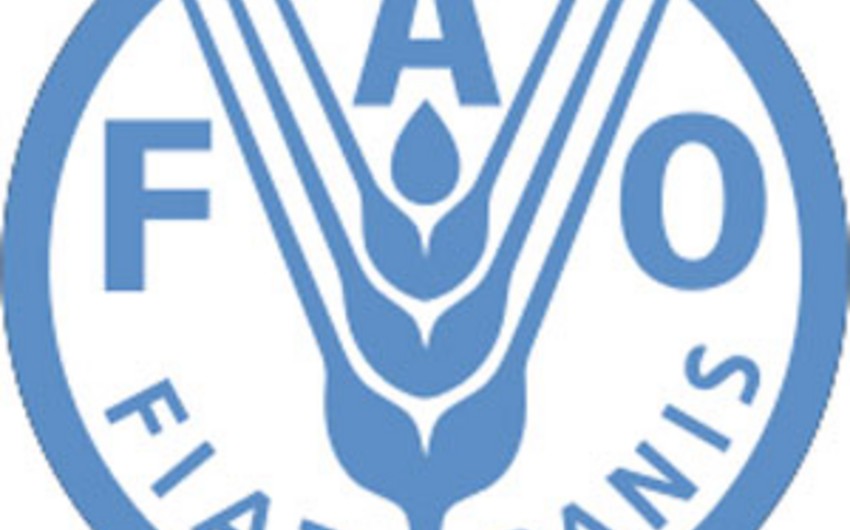 ​Гендиректор FAO едет в Азербайджан