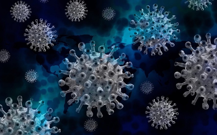 Azerbaijan confirms 101 new coronavirus cases: Task Force