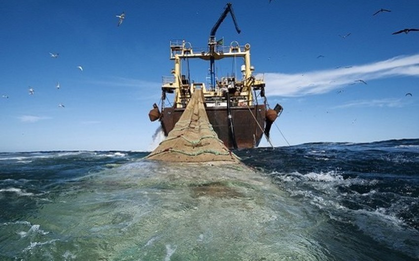 İran Hörmüz boğazında 7 xarici balıqçı gəmisini saxlayıb