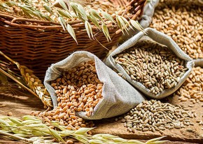 Беларусь продлила запрет на вывоз зерна на полгода