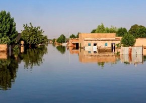 Deadly floods kill over 50 in northern Chad