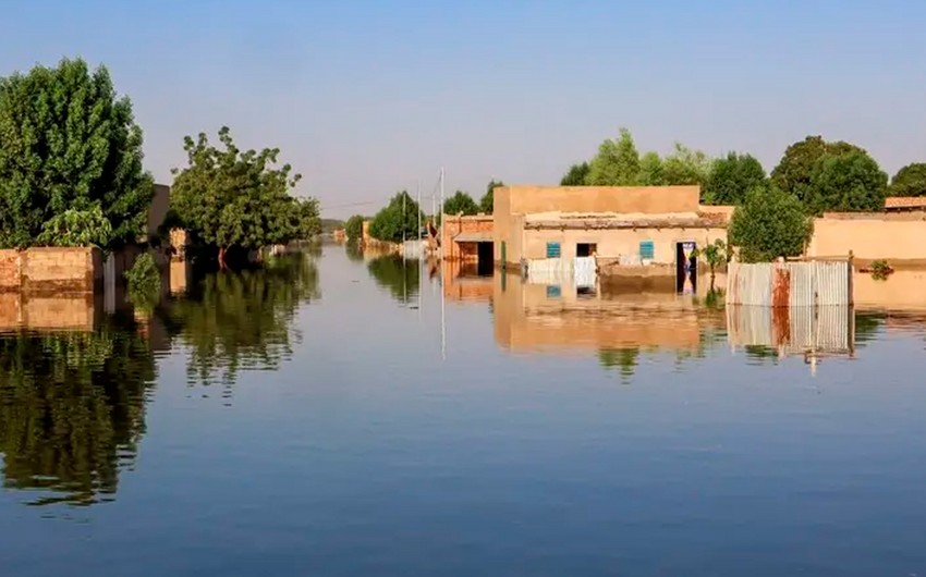 Deadly floods kill over 50 in northern Chad