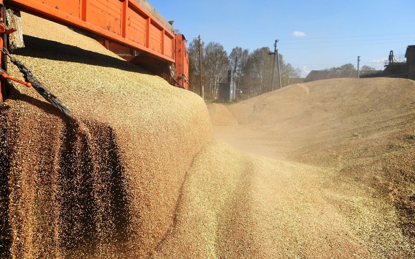 Минобороны Турции сообщило о планах скорейшего начала экспорта зерна с Украины