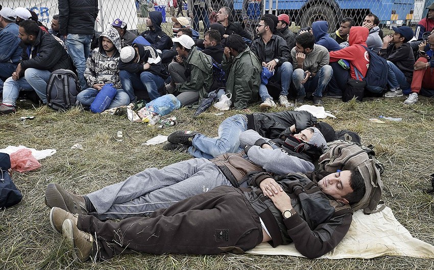 США выделят $24 млн на помощь беженцам в Европе