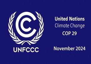 Эксперт: COP29 в Азербайджане - стратегическая инициатива в решении глобальных проблем