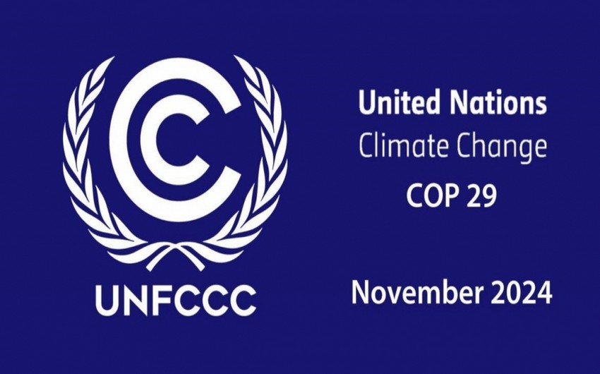 Эксперт: COP29 в Азербайджане - стратегическая инициатива в решении глобальных проблем