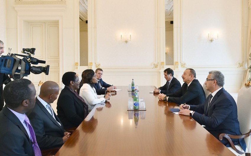 Президент Ильхам Алиев принял делегацию во главе с министром международных отношений и сотрудничества ЮАР