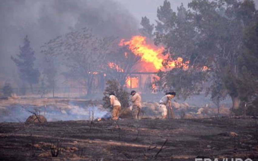 В Калифорнии бушует масштабный лесной пожар: есть жертвы