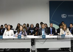 Baku hosts high-level roundtable on Children, Youth, Climate Action within COP29