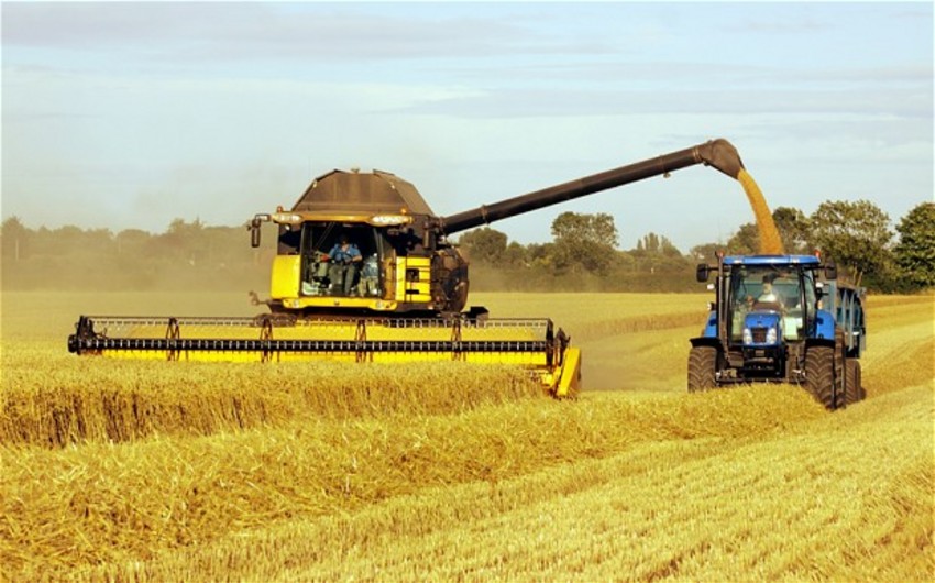 ​Россия вводит экспортную пошлину на пшеницу