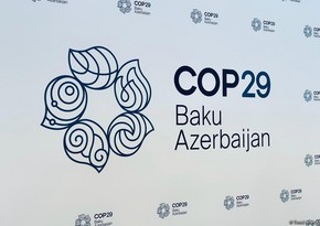 Саудовская Аравия в рамках COP29 запустила первую биржу углеродных кредитов 