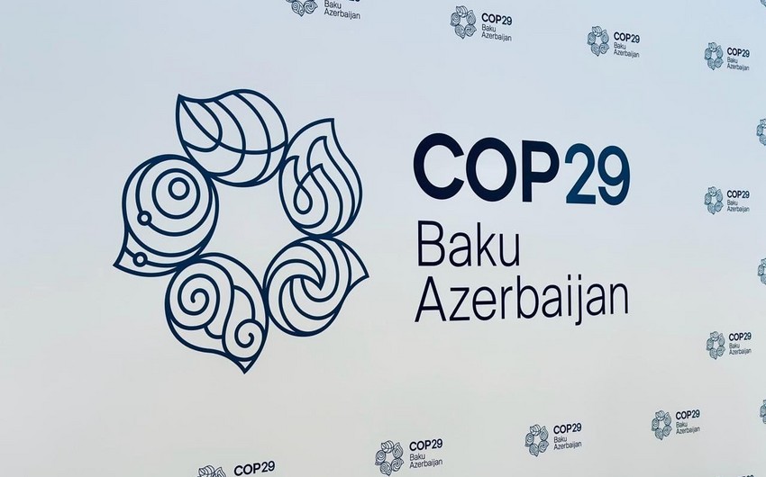 Саудовская Аравия в рамках COP29 запустила первую биржу углеродных кредитов 