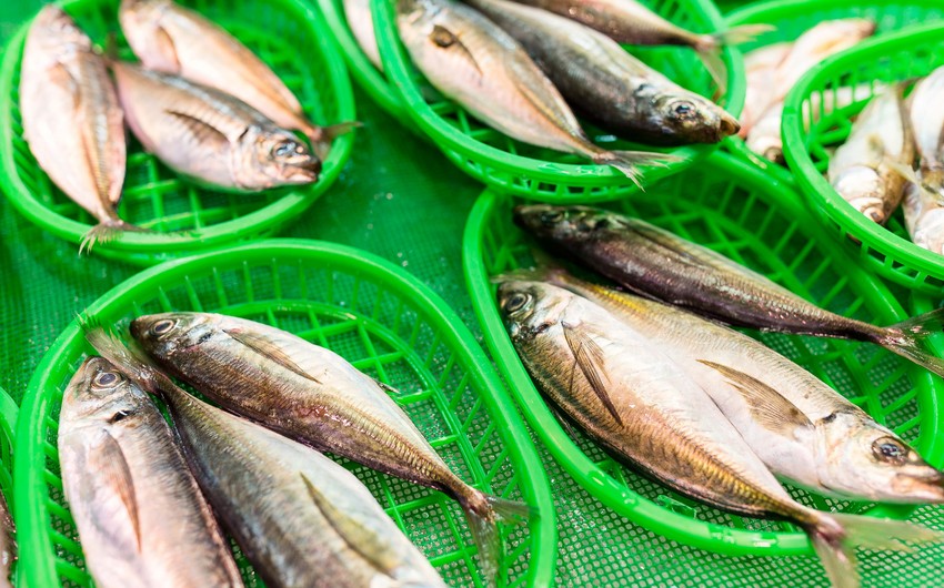 Еще 11 российских предприятий получили право поставок рыбы в Азербайджан