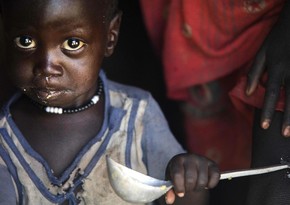 16 стран оказались на пороге массового голода