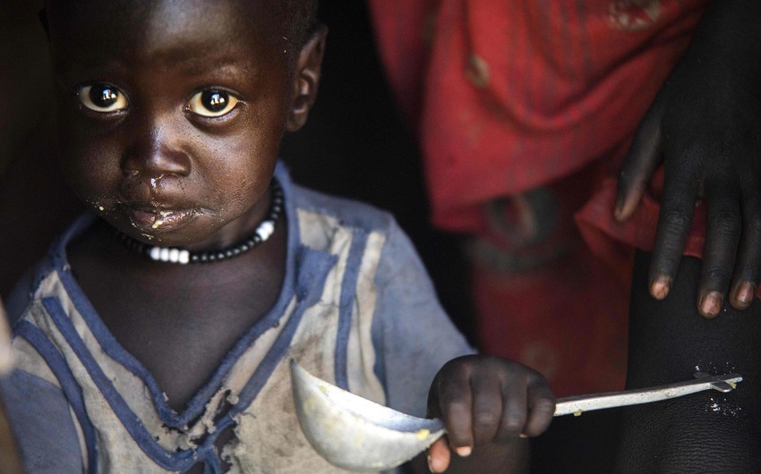 16 стран оказались на пороге массового голода