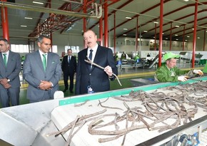 President Ilham Aliyev inaugurated Liquorice Industry Park in Aghdash