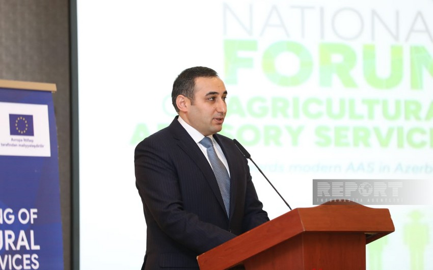 Замминистра: Азербайджан уделяет особое внимание цифровизации госуслуг для фермеров