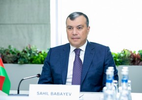 Sahil Babayev: İxtisaslı şəxslərin fərdi məşğulluq proqramlarına cəlb olunmasını hədəfləyirik