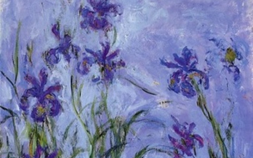 Claude Monet study of 'Mauve irises was the star lot at 17 million USD
