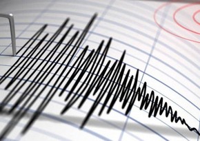 В Турции произошло землетрясение магнитудой 5,0